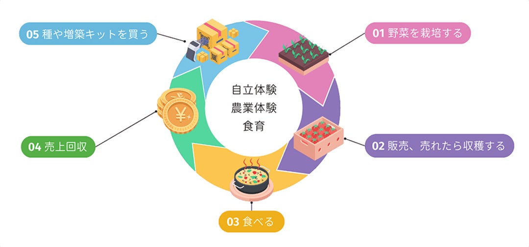 循環サイクル