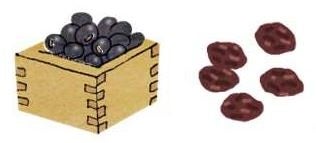 ●黒豆、レーズン