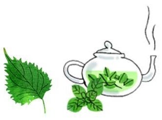 ●シソ、ハーブティー