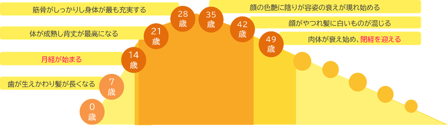 出展：「黄帝内経」より作成
