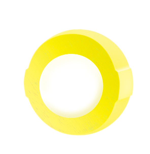 どんぐりガムライフガード断面