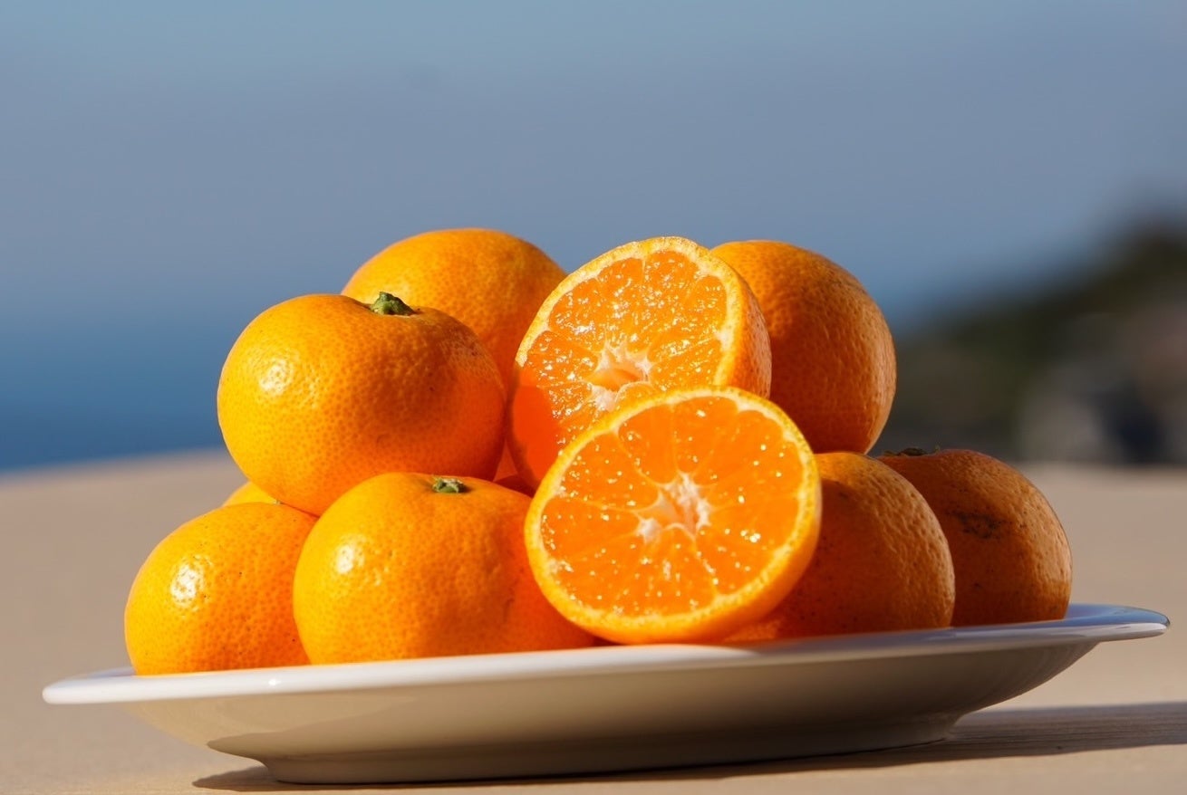 【冬の美味 × 美容 × 健康】栄養がギュッと詰まった極上の『幻のみかん』が今年も数量限定で解禁！｜こだわりの生産者から産地直送