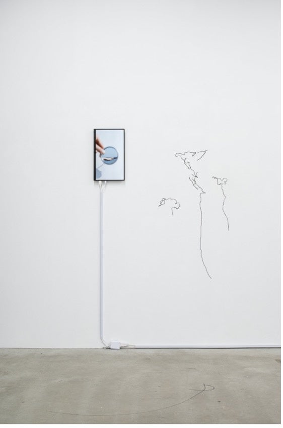 《mark on water》2021年、ヴィデオインスタレーション／ドローイング 写真：柳場大