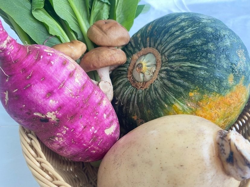 地元野菜や土壌混合法でたい肥化した土を作って収穫した野菜を使用