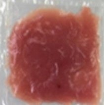 ハイドロフレッシュ