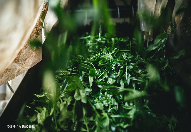 厳選したこだわりのお茶