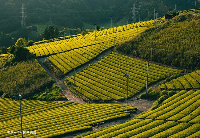 きみくら株式会社