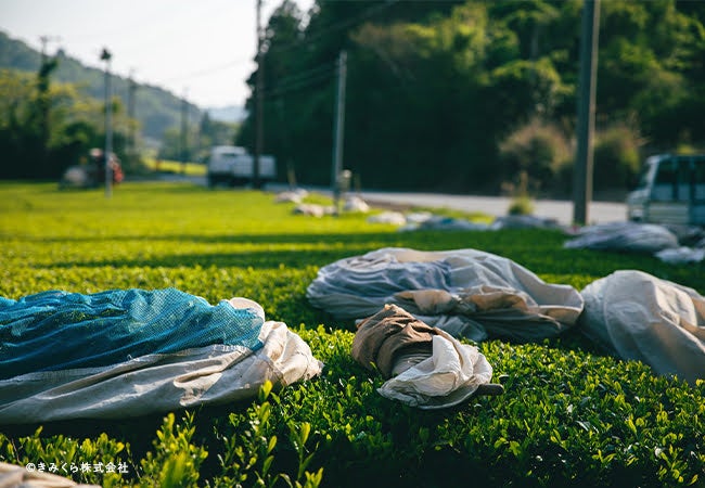 厳選された全国の茶産地
