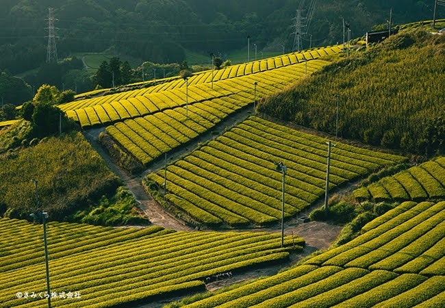 きみくら株式会社