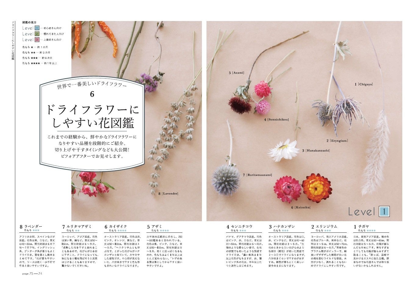 第二の人生、花も人も】あたたかみと深みを増して輝くドライ
