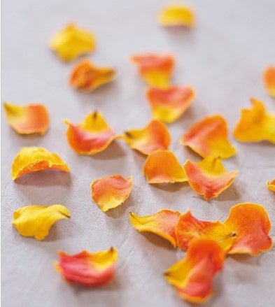 第二の人生、花も人も】あたたかみと深みを増して輝くドライフラワーの