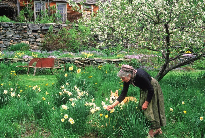 不安な今の時代だからこそ触れてほしい、ターシャの心豊かなスローライフ。美しい写真とともに“永遠の憧れ“ターシャ・テューダーの魅力の源に触れる一冊『ターシャ・テューダーから 季節の贈り物』3/7発売 | 株式会社主婦と生活社のプレスリリース