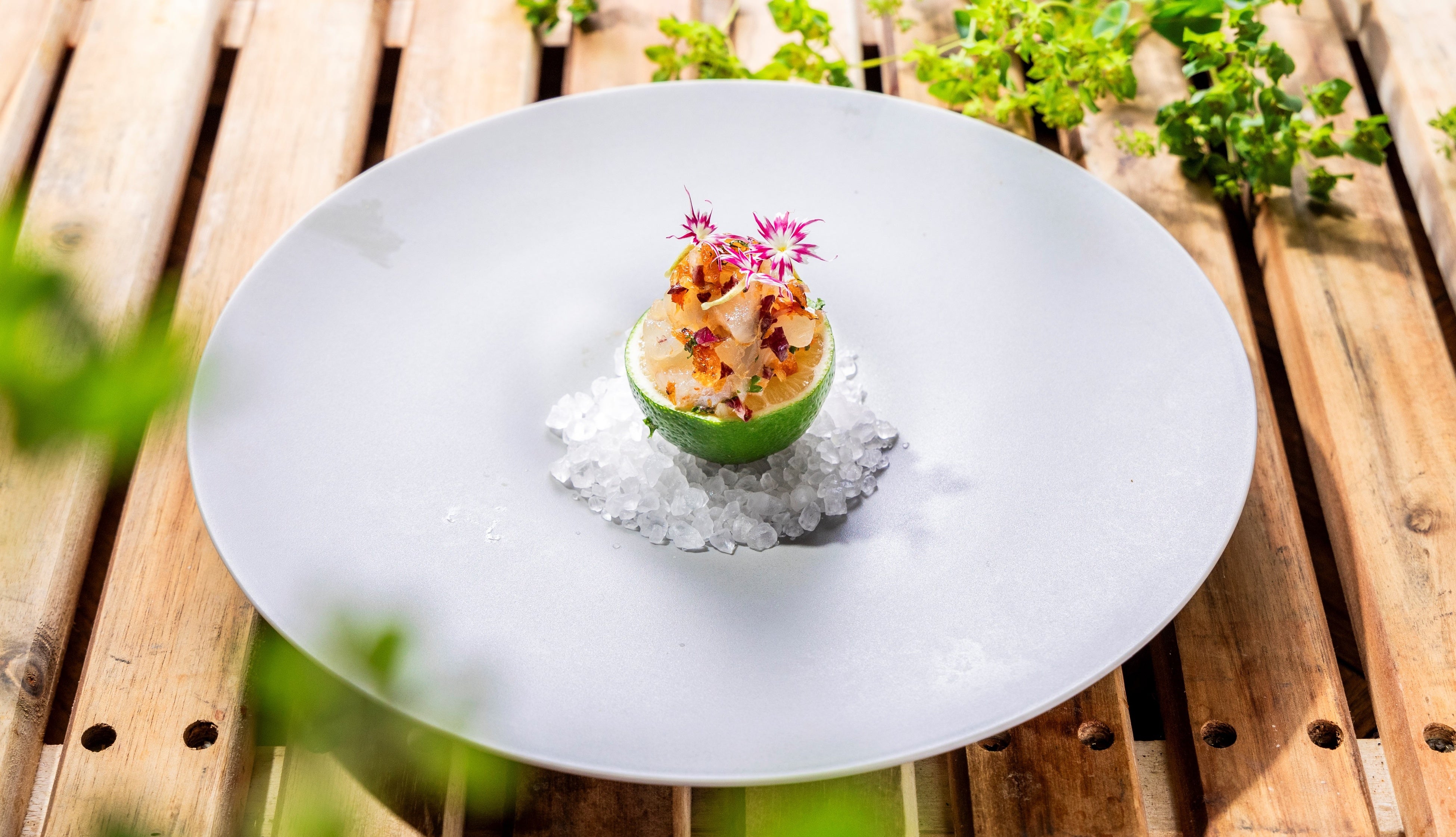 （画像：平目と柑橘）