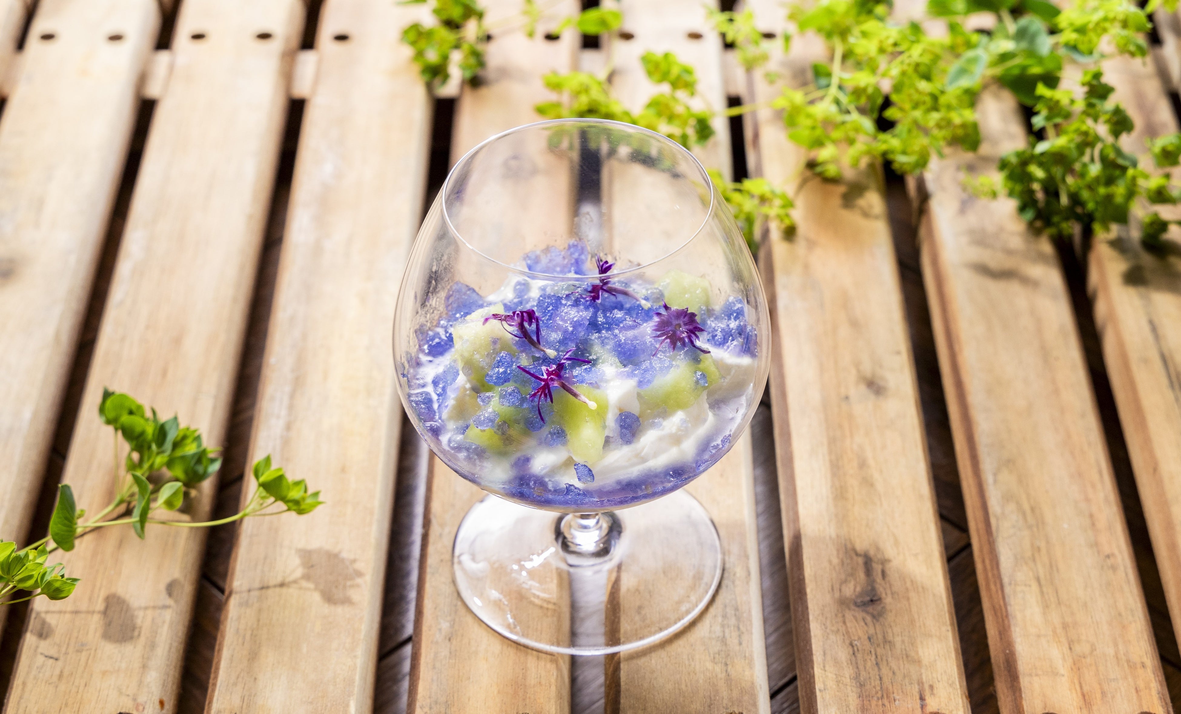 （画像：茗荷のグラニテ）