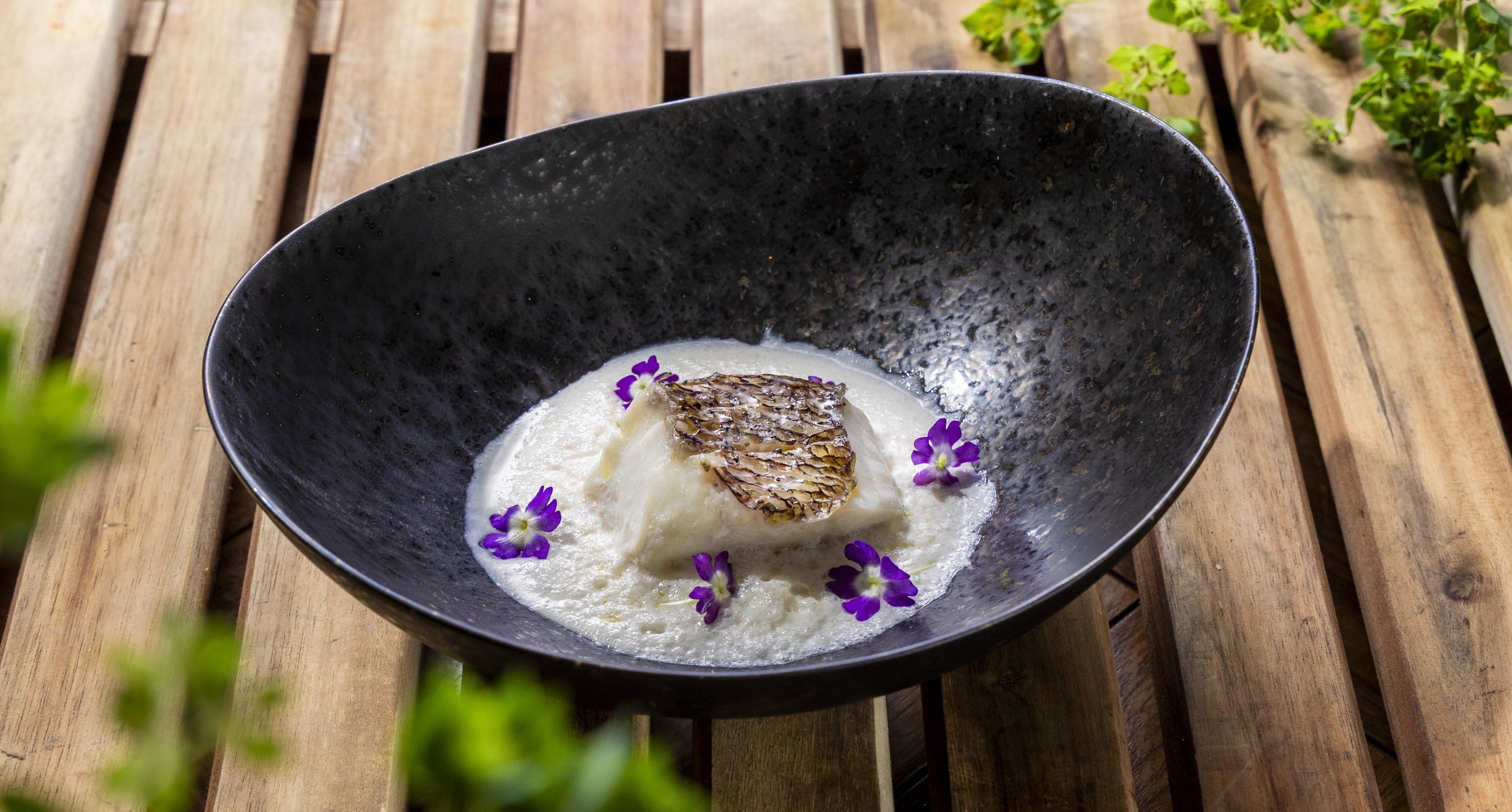 （画像：真鯛のヴァポーレ）