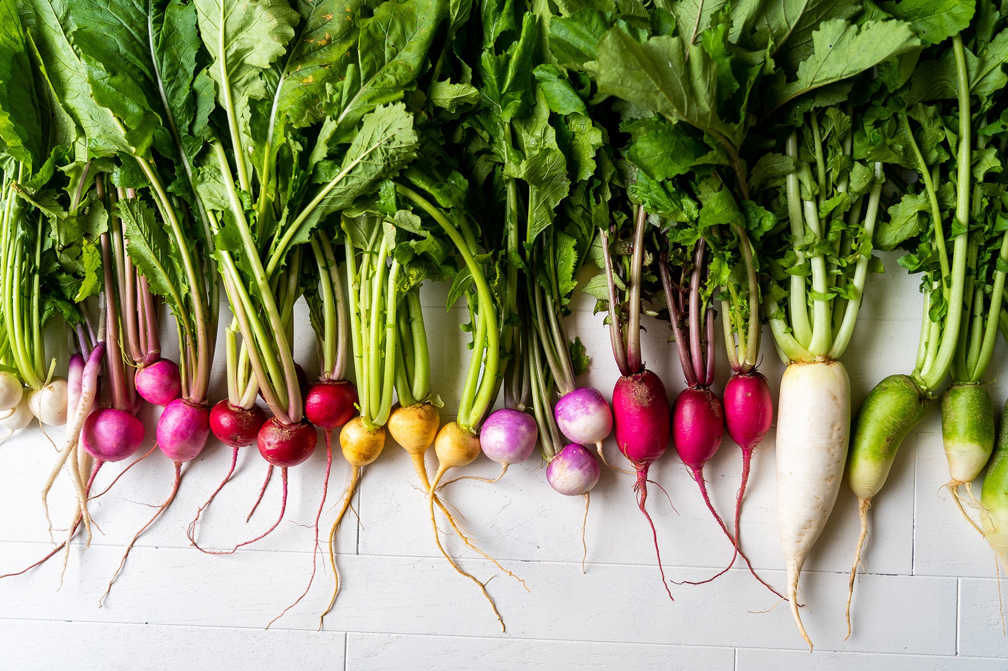 能登　TAKA農園の野菜
