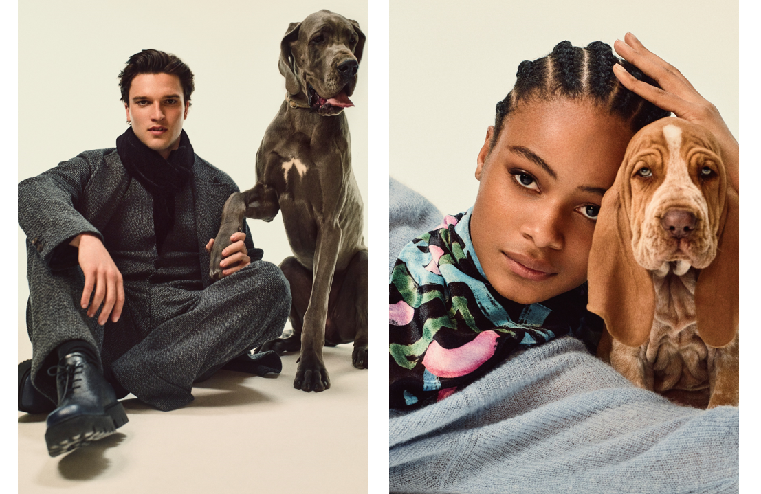 ジョゼッペアルマーニ 雪の上の仔猫 フローランス イタリア製 A