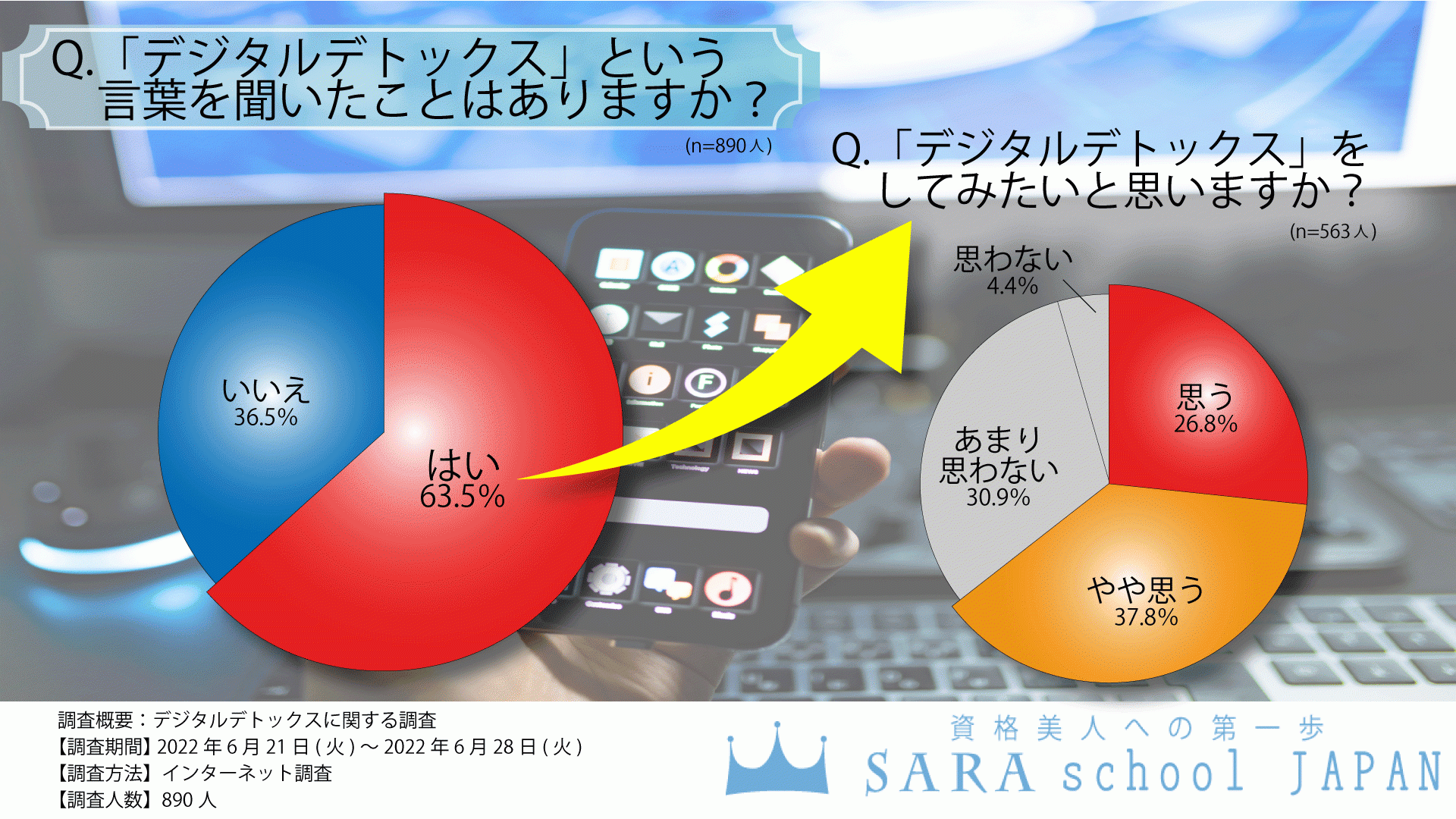 デジタルデトックスの関する調査