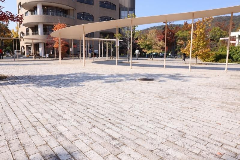 草刈りが終わり、綺麗になったパーゴラ