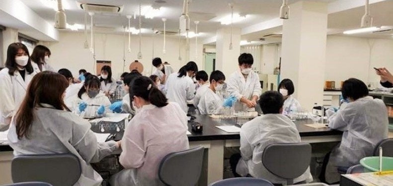 実験の様子