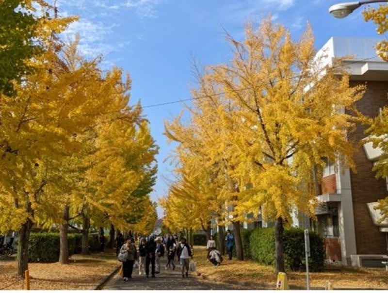 芋掘り体験(フィールドセンター)へ