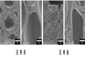 圧搾前後の電子顕微鏡写真での木材断面の比較