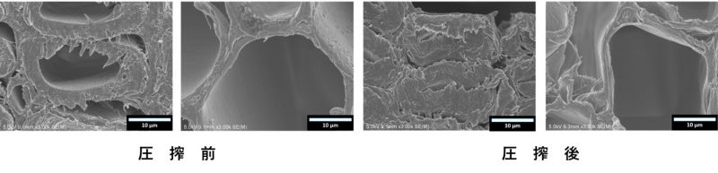 圧搾前後の電子顕微鏡写真での木材断面の比較
