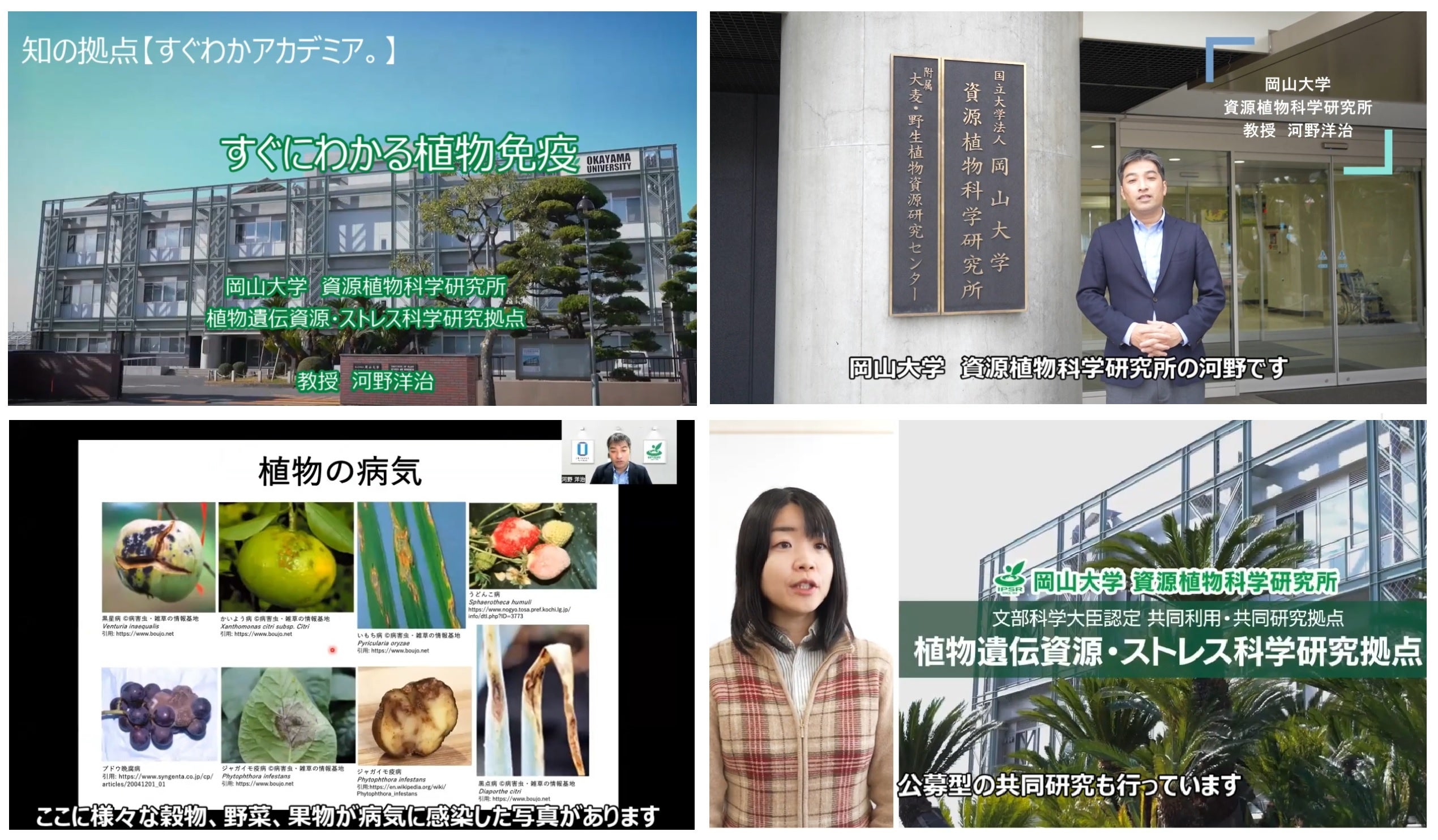 動画画面の一部