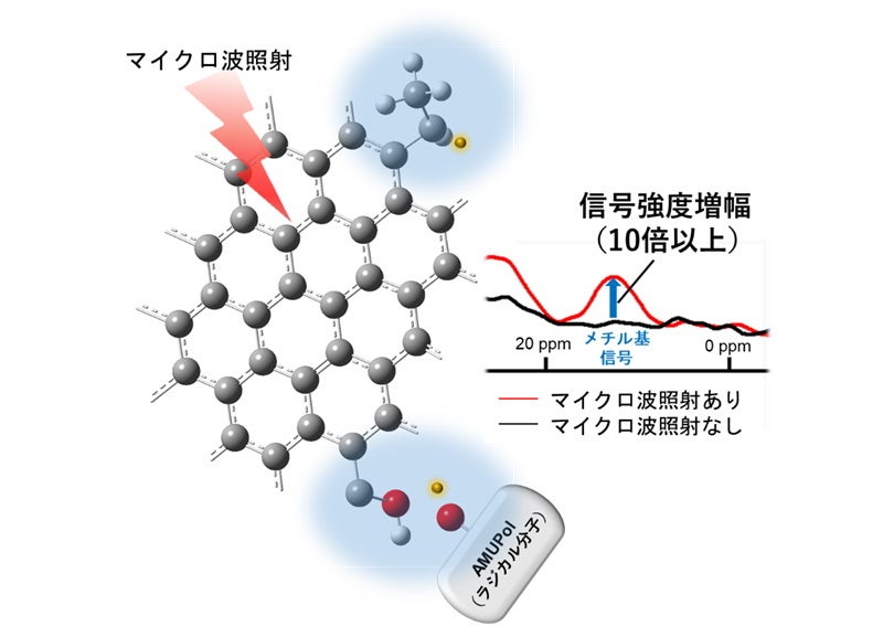 DNP-NMRによる観測(信号強度増幅は10倍以上となる)