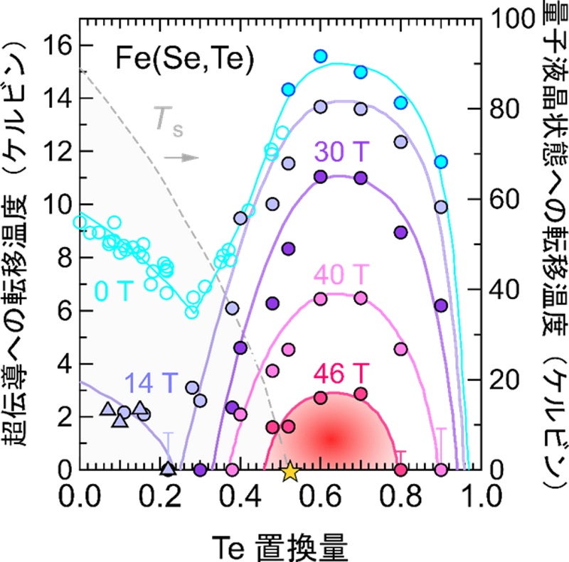 量子液晶状態を有するFe（Se,Te）における磁場下での超伝導転移温度