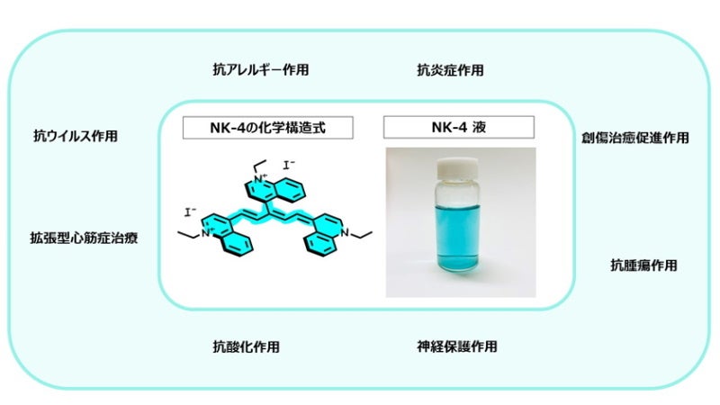 NK-4の構造式と多様な作用