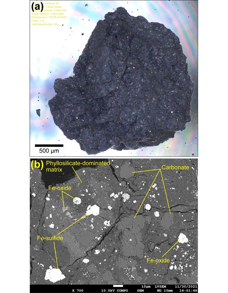図１. 小惑星リュウグウより回収された粒子 A0022 試料の (a) 光学顕微鏡による外観写真と (b) 電子顕微鏡による内部組織写真。前駆物質が流体と反応して形成した炭酸塩 (carbonate) や磁鉄鉱 (Fe-oxide と表記) が観察される