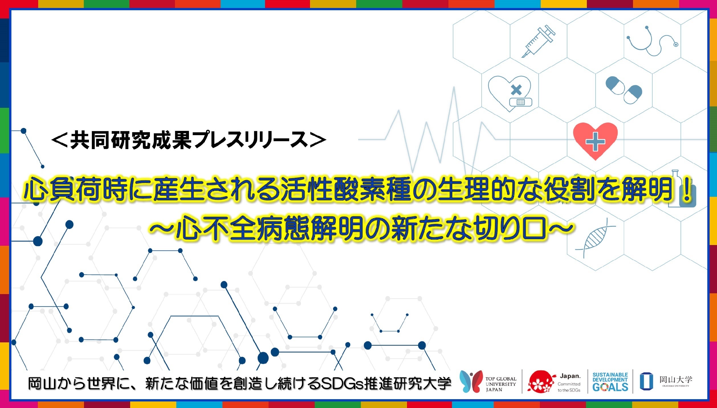 心負荷時に産生される活性酸素種の生理的な役割を解明！～心不全