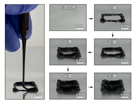 図3. 温度応答性GOナノシートの水分散液をインクとして利用した、三次元形状をデザイン可能なハイドロゲル