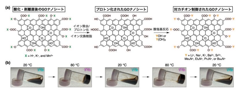 図2. (a) GOナノシートの対カチオンを制御するための二段階反応と (b) 対カチオンとしてBu4N+を有するGOナノシート水分散液の温度応答性ゾル-ゲル転移の写真