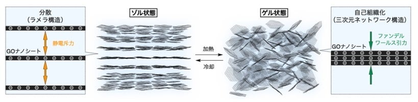 図1. 温度応答性GOナノシートのゾル-ゲル転移の概念図
