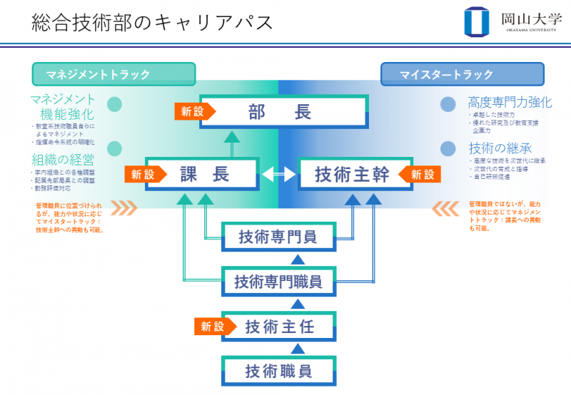 岡山大学総合技術部のキャリアパス