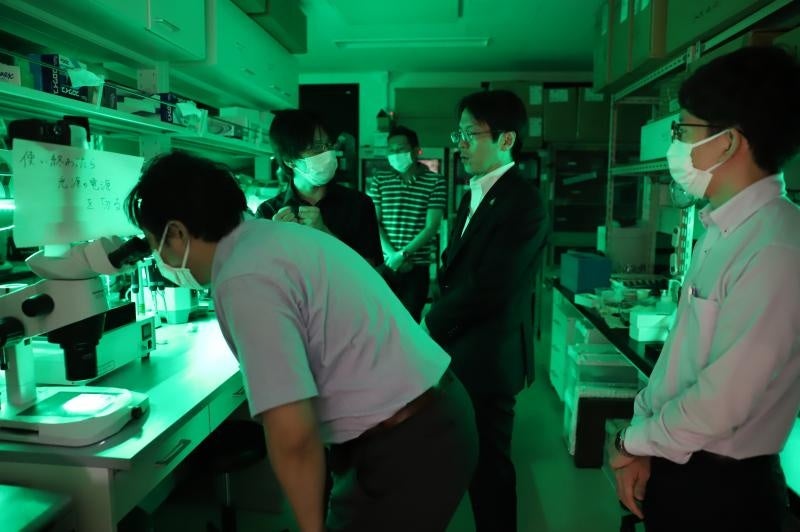 英語教育学研究 金田道和先生退官記念論文集/渓水社（広島）/岡紘一郎（１９４１-　英文学）（単行本） 天心の弟岡倉由三郎Ⅰ 英語学者としての活動 | 茨城県天心記念五