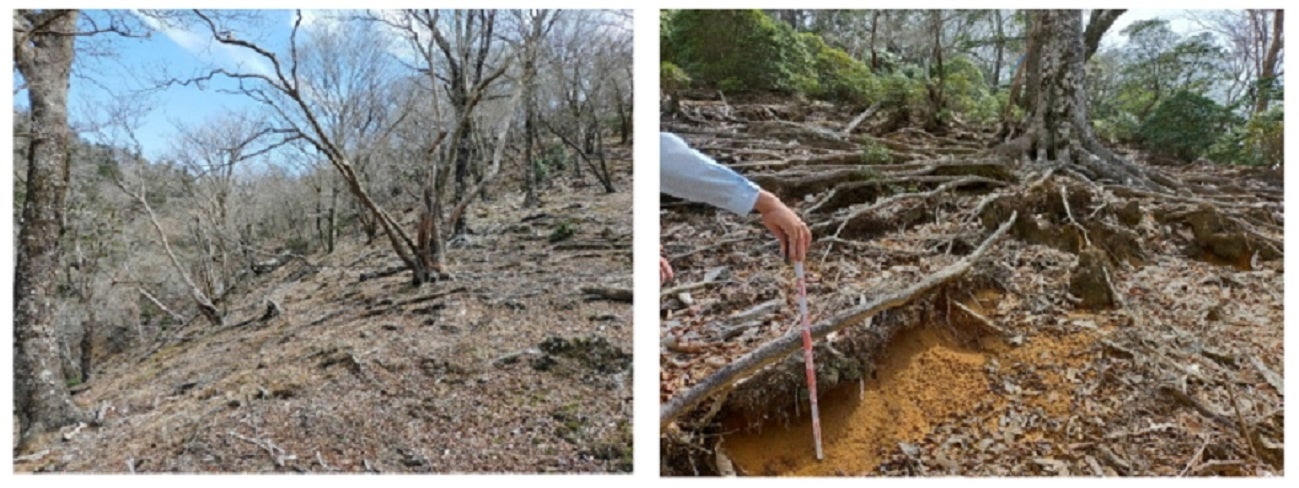 下層植生の消失した三方岳の概況(左)と深刻な根系露出の例(右)