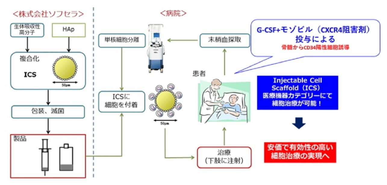 図1. 医療機器カテゴリーでの重症下肢虚血に対する細胞治療