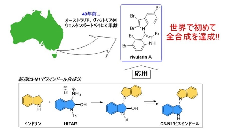 (±)-Rivularin Aの初全合成