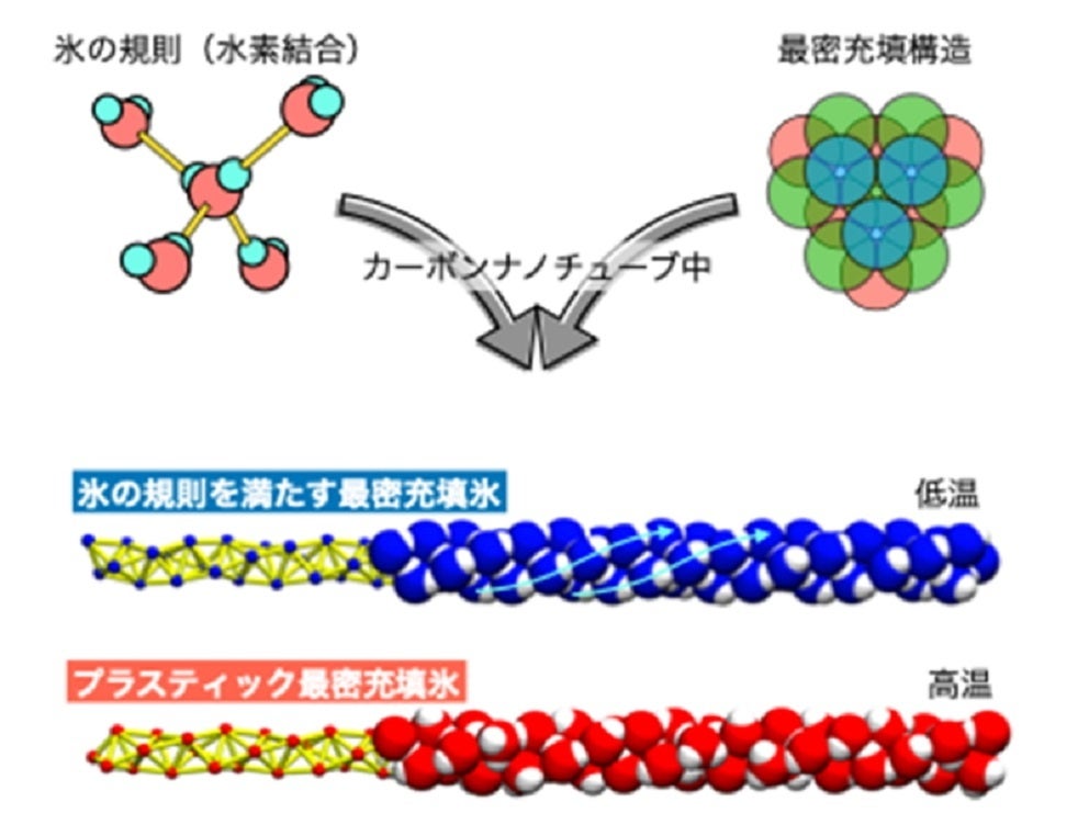 図. ナノチューブ内の最密充填氷の水分子の配列（螺旋型の最密充填構造の一例。ナノチューブは描かれていない）。氷の規則（左上）を満たす水素秩序氷（中段）および氷の規則を満たさず、水分子が回転運動を行うプラスチック氷（下段）が存在する