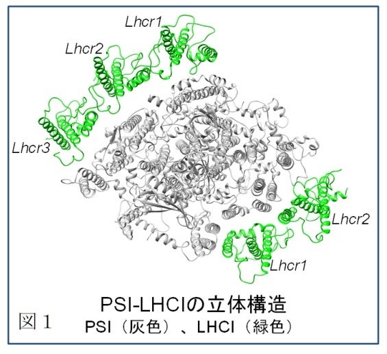 カヴァイエス研究 : 構造と生成 1 構造と生成 I カヴァイエス研究 』近藤和敬 | 月曜社