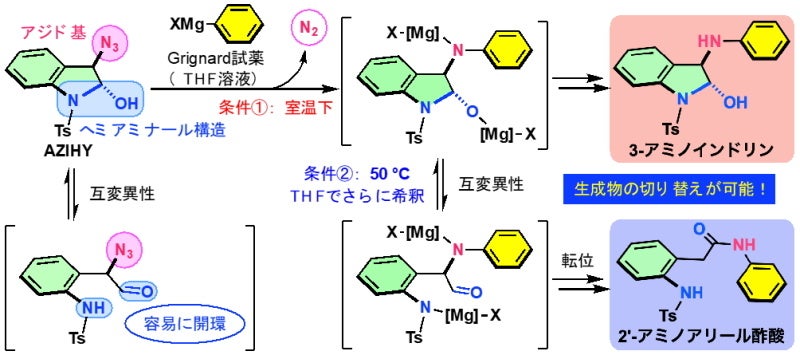 AZIHY試薬とGrignard試薬による反応の条件と生成物