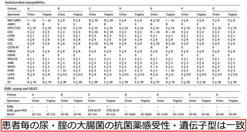 抗菌薬への感受性、ESBL遺伝子PCR、MLST結果