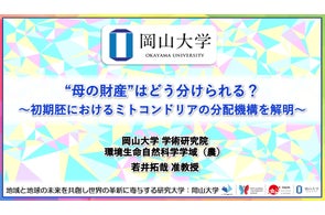 【岡山大学】“母の財産”はどう分けられる?~初期胚におけるミトコンドリアの分配機構を解明~