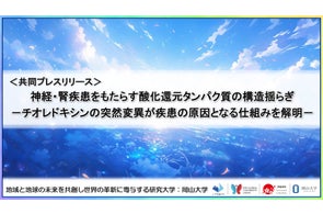 神経・腎疾患をもたらす酸化還元タンパク質の構造揺らぎ-チオレドキシンの突然変異が疾患の原因となる仕組みを解明-〔理化学研究所, 岡山大学, 日本原子力研究開発機構, 総合科学研究機構〕