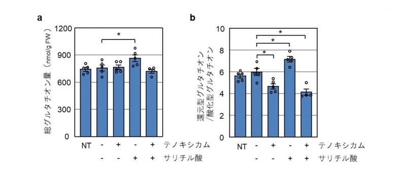 図3. テノキシカムの細胞内グルタチオン量に対する作用