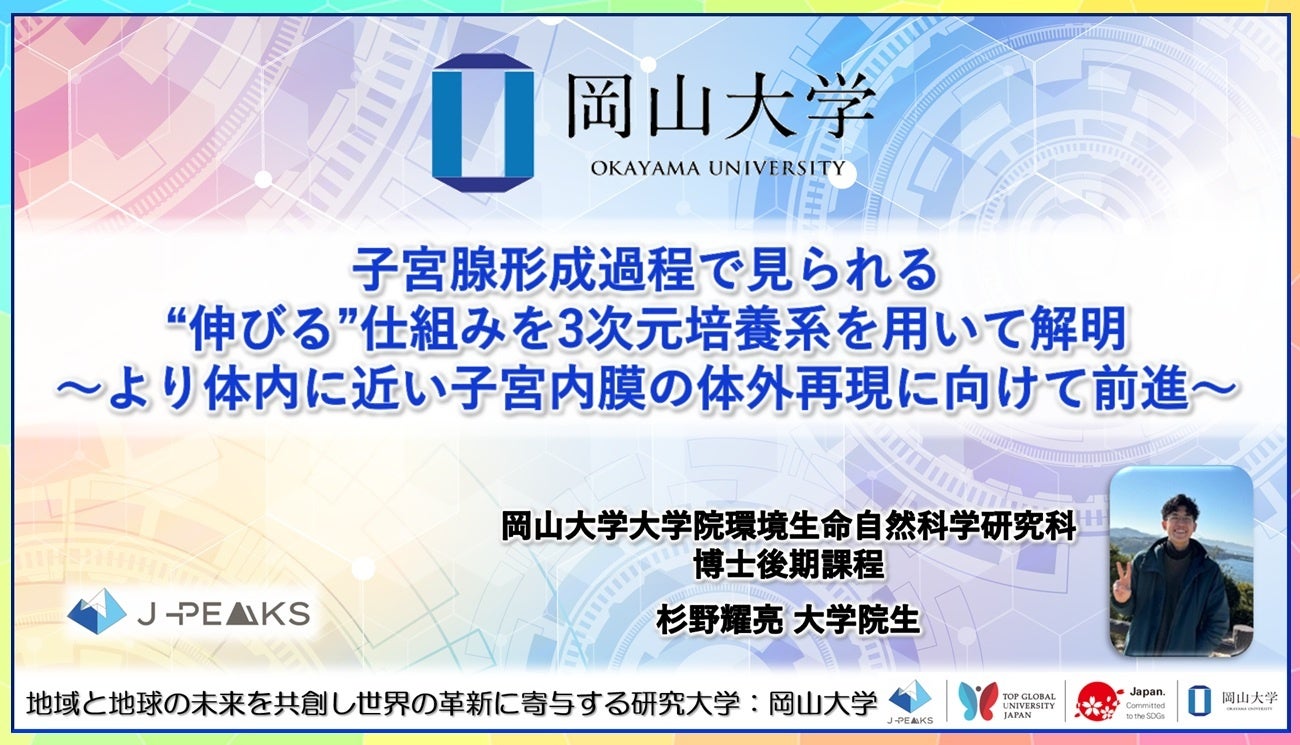 【岡山大学】子宮腺形成過程で見られる“伸びる”仕組みを3次元培養系を用いて解明～より体内に近い子宮内...