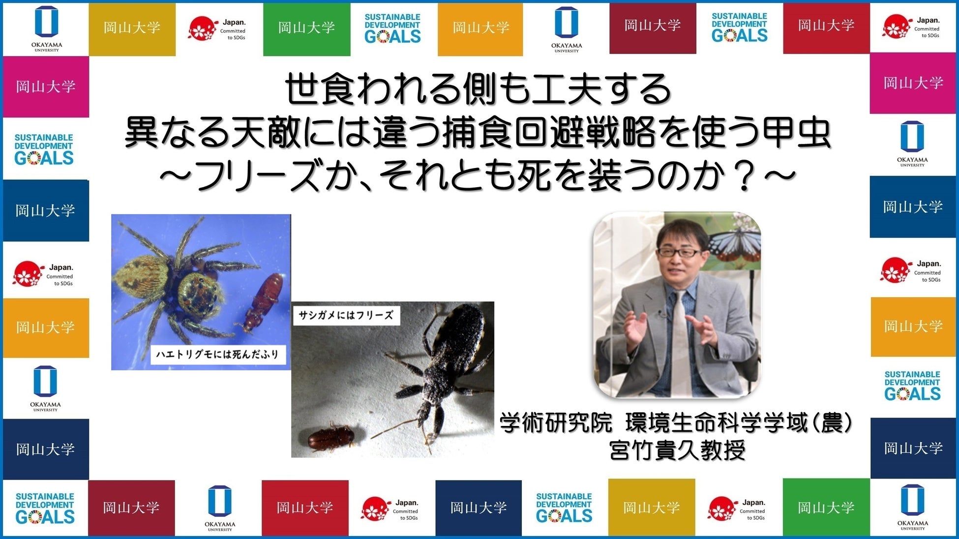岡山大学 食われる側も工夫する 異なる天敵には違う捕食回避戦略を使う甲虫 フリーズか それとも死を装うのか 国立大学法人岡山大学のプレスリリース 岡山大学 食われる側も工夫する 異なる天敵には違う捕食回避戦略を使う甲虫 フリーズか それとも死を装うのか 国立大学法人岡山大学のプレスリリース